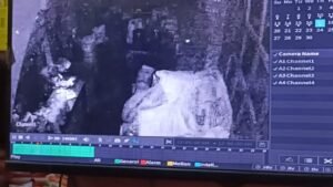 खिगरा गेट में चोरों ने चक्की व करियाना की दुकान को बनाया निशाना 8 IMG 20260917 WA0126